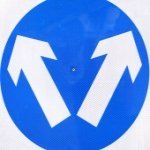 Bankruptcy or Consolidation?