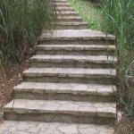 The Steps of a Chapter 7 Bankruptcy