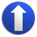 What is the Straight Bankruptcy?